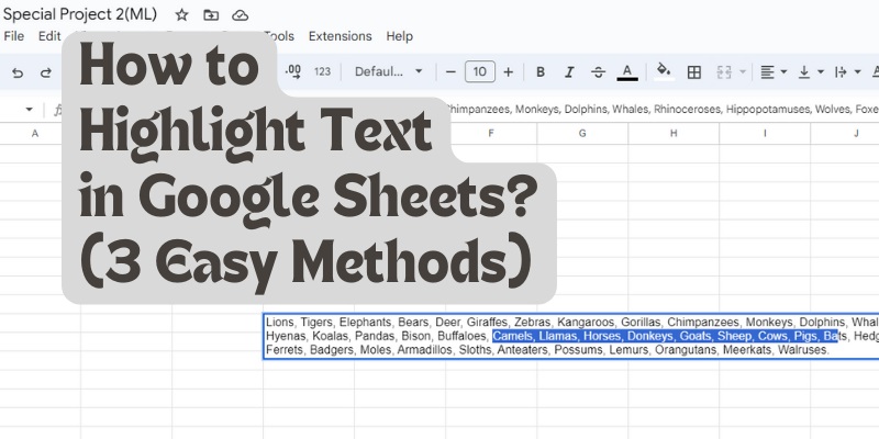 How to Highlight Text in Google Sheets