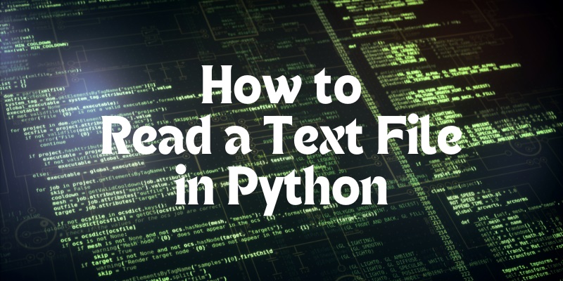 How to Read a Text File in Python